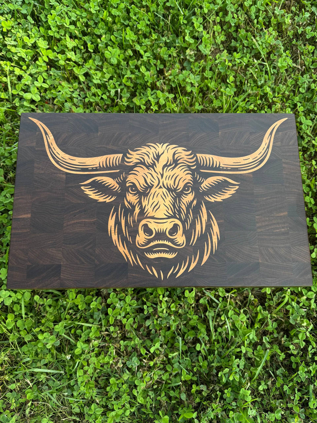 The Longhorn 19x12" CNC inlay plan